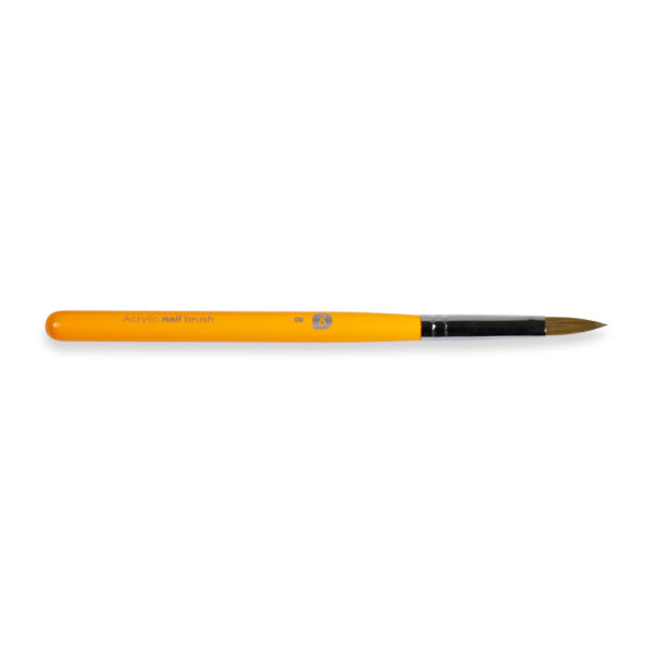 Pincel Basic Student 8
