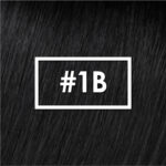 Extension LaKremm #1B 