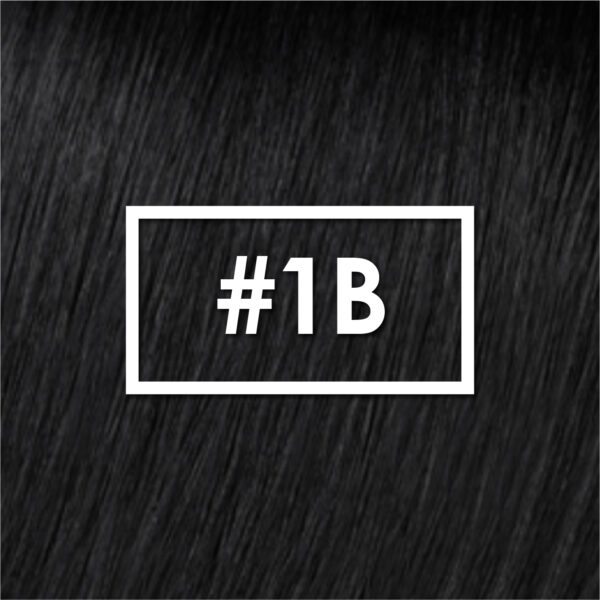 Extension LaKremm #1B 