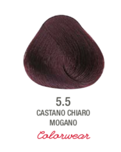 TINTE 5.5