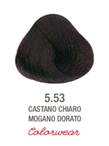 TINTE 5.53