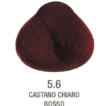 TINTE 5.6