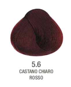 TINTE 5.6
