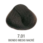 TINTE 7.01