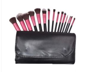 KIT DE BROCHAS PROFESIONAL 15 PIEZAS