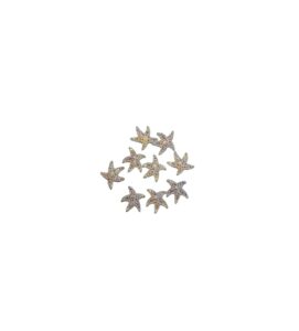 DIJE ESTRELLA MAR
